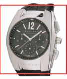 Bulgari Ergon EGW 40 C5 GLD CH