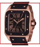 Cartier Santos W20124U2