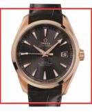 Omega Seamaster 231.53.42.21.06.001