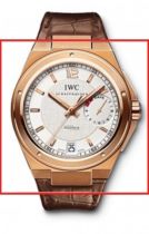 IWC Ingenieur IW500503